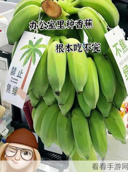 香蕉视频免费看：畅享香蕉视频：免费观看精彩内容，乐趣无限