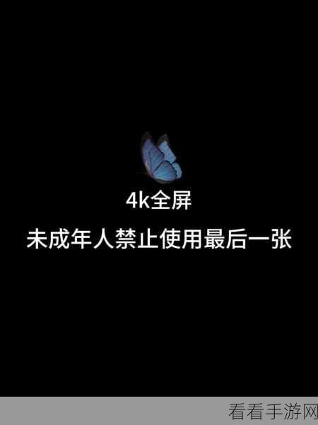 全网禁用壁纸网站：全面解读被禁用的壁纸网站及其背后原因