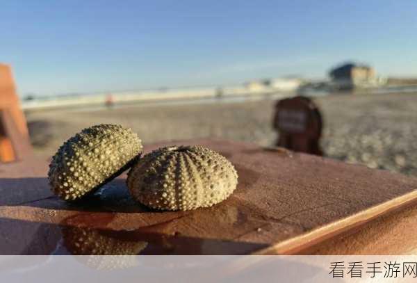 八挂海痉挛口吐白沫：八挂海痉挛症状解析与应对策略探讨