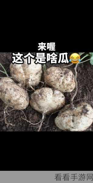 今日大瓜 热门大瓜必看大瓜：今日热门大瓜揭秘：最新八卦新闻不容错过！