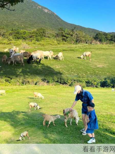 人or猪or狗302牧场：“探索302牧场：人与猪狗的和谐共生之旅”