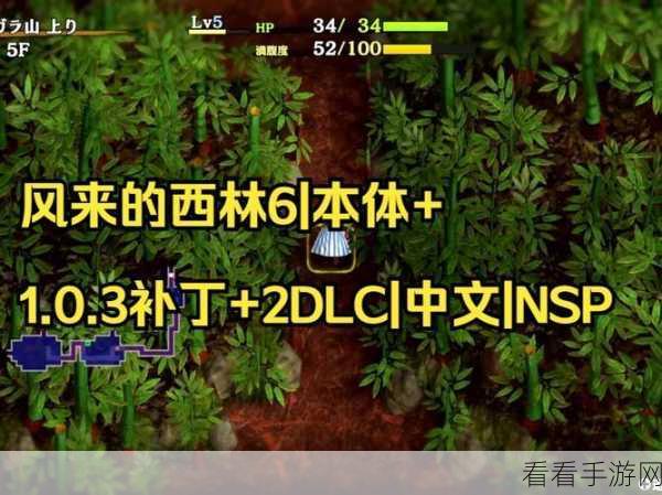 风来的西林6 dlc：风来的西林6：魅影秘境与勇者之旅