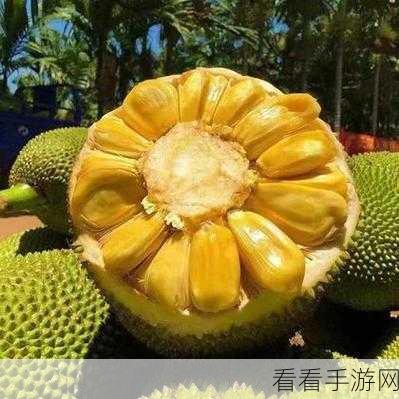 菠萝蜜影视 免费：“拓展菠萝蜜影视：畅享海量免费电影与热门剧集”