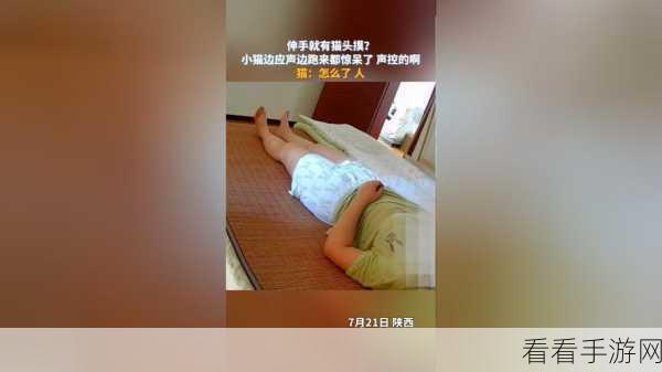 边亲边摸下奶韩国：亲密互动与新体验：韩国生活中的边摸边享受之旅