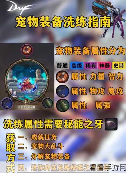 dnf至尊宠物怎么获得：如何获取DNF中的至尊宠物攻略与技巧分享