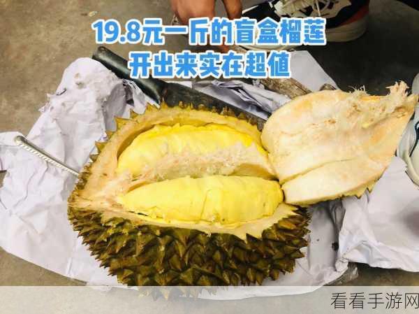 榴莲视频汇聚APP：多元榴莲视频汇聚平台，畅享视觉盛宴与美食文化！