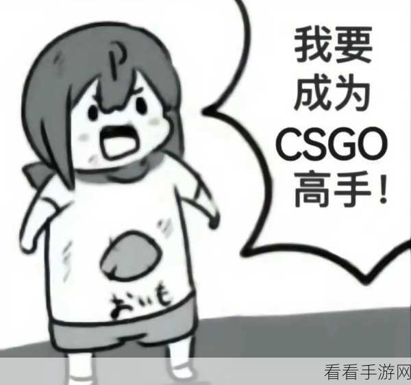 55岁大妈玩csgo：55岁大妈逆袭成CSGO高手，游戏世界不分年龄！