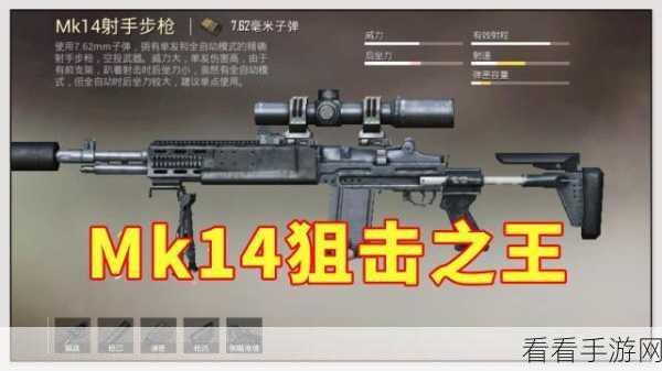 SKS和mk14：在现代军事装备中深入探讨SKS和MK14步枪的特点与应用。