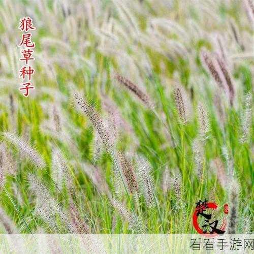 他的舌头探进蜜源毛毛虫说说视频：蜜源毛毛虫的舌头大揭秘，探索自然奇观！