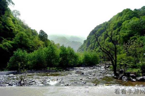 幽谷花径内的阻力突然减小：幽谷花径内阻力骤降，畅游无碍的新境界