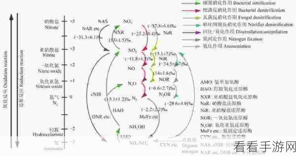 折磨火输出循环：探讨折磨火输出循环的机制与应用效果分析