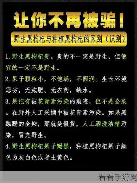 hei001.com 黑料：揭秘hei001.com背后的黑料真相与内幕故事