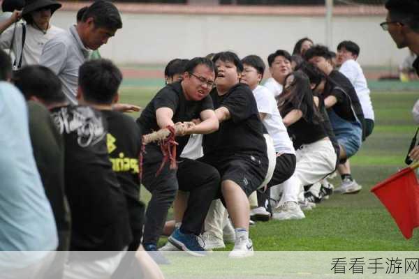 超级凌乱的校园运动会：热血沸腾的校园运动会：超越混乱，展现青春力量