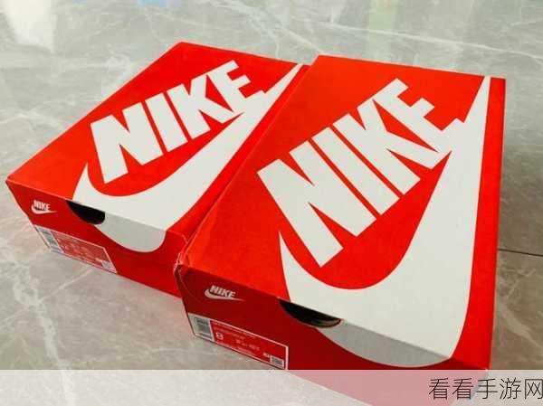 成品网站nike源码1688免费：免费获取Nike成品网站源码，助力创业与二次开发！