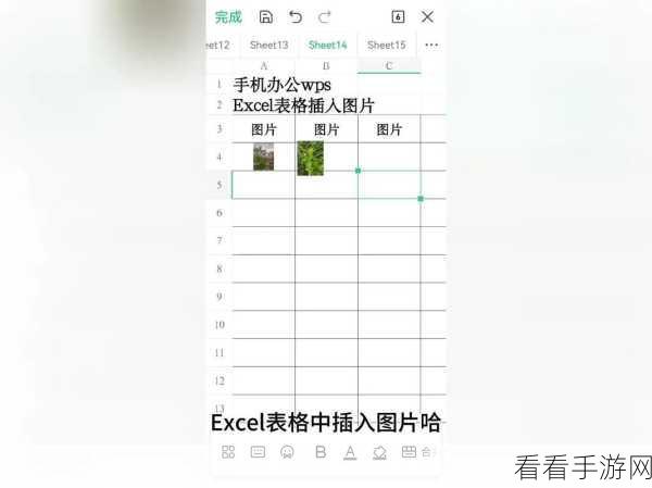 轻松搞定！WPS Excel 插入图片自适应大小秘籍