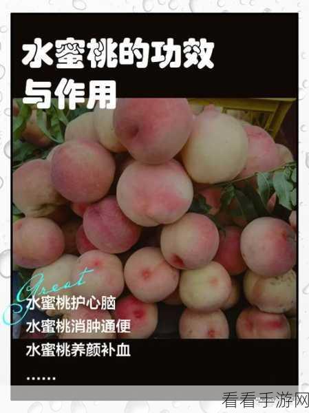久久99精品久久久水蜜桃特点：独特风味与健康养生，久久99精品水蜜桃的魅力解析