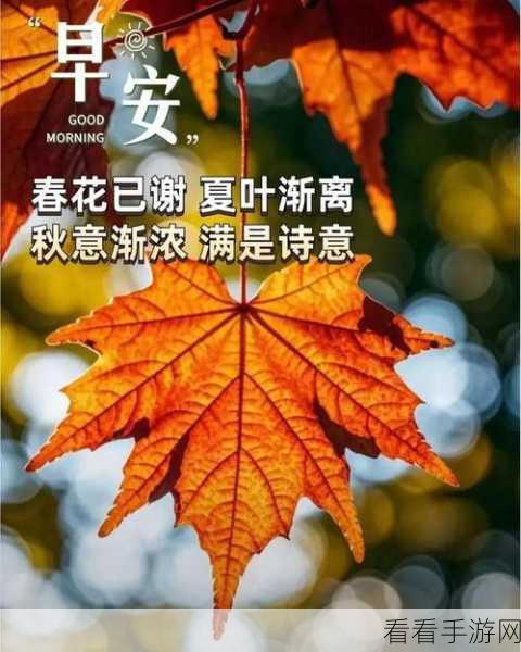 蜜芽永不失联：蜜芽永不失联，守护你的每一次温暖相伴