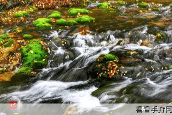 妈妈桃源洞口已是溪水：妈妈桃源洞口溪水潺潺，山间风景如诗如画。