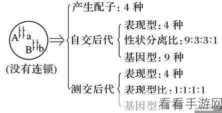 AABB和AAAA级有什么区别：AABB与AAAA级别的详细区别与应用场景分析