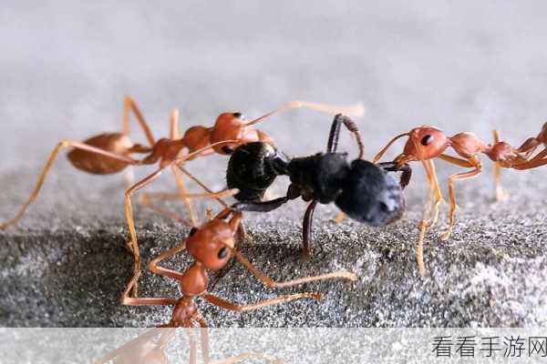 51chiguai：探索51chiguai：揭示奇怪现象与独特故事的全新视角