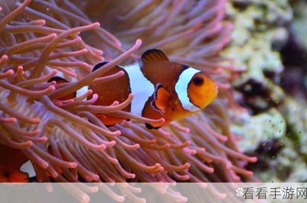 香蕉海葵鲍鱼绿巨人茄子：探索香蕉海葵与鲍鱼的奇妙关系：绿巨人茄子的独特魅力