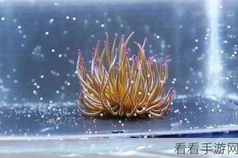 香蕉海葵鲍鱼绿巨人茄子：探索香蕉海葵与鲍鱼的奇妙关系：绿巨人茄子的独特魅力