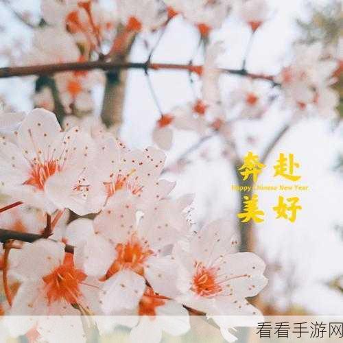 一起艹17哎：共赴春日盛宴，感受生活中的点滴美好与温暖