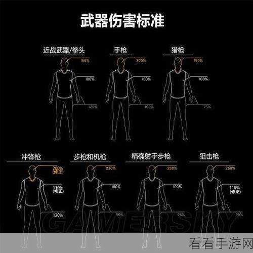 pubg武器伤害表：绝地求生武器伤害详细分析与攻略大全