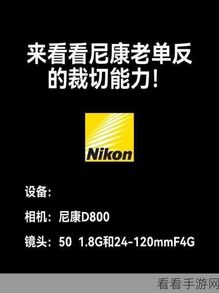 尼康d800长焦推荐：推荐适合尼康D800的长焦镜头选择与使用技巧