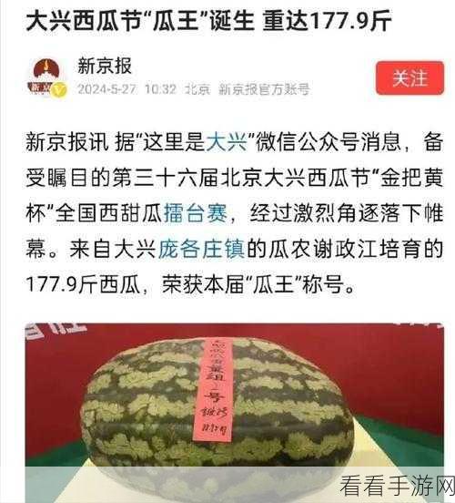 17吃瓜网今日吃瓜 热门大瓜：“今日吃瓜：娱乐圈最新爆料尽在17吃瓜网，快来围观！”