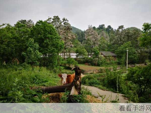 外回り中に突然の大雨一雨宿山上：突如其来的大雨，外回り途中的山上避雨奇遇