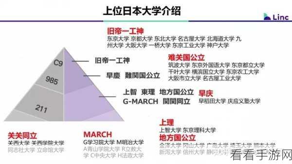 日本大一大二大三在一起读吗：日本大学一年级到三年级的学习生活如何安排与互动？