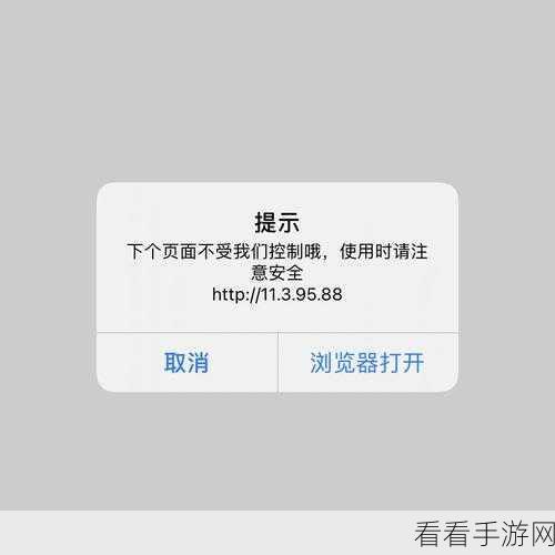 轻松摆脱！Safari 隐私浏览模式下 URL 跟踪参数自动删除秘籍