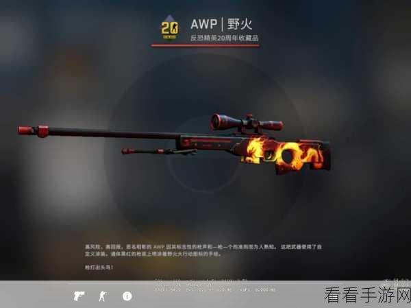 日本csgo大姐姐awp