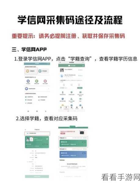 轻松获取学信网在线验证码，详细教程指南