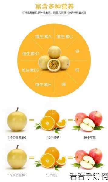 果冻传染煤片：新型果冻传染煤片的研究与应用探讨