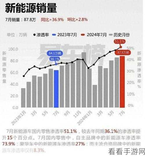 国产一国产二：“国产一与国产二：探索中国自主品牌的新未来”