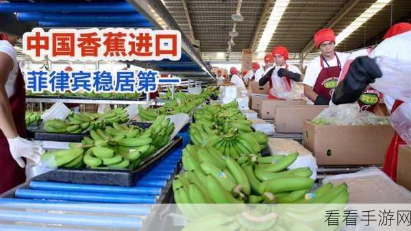 香蕉视频app黄页：探索香蕉视频App：畅享多元娱乐内容的新世界