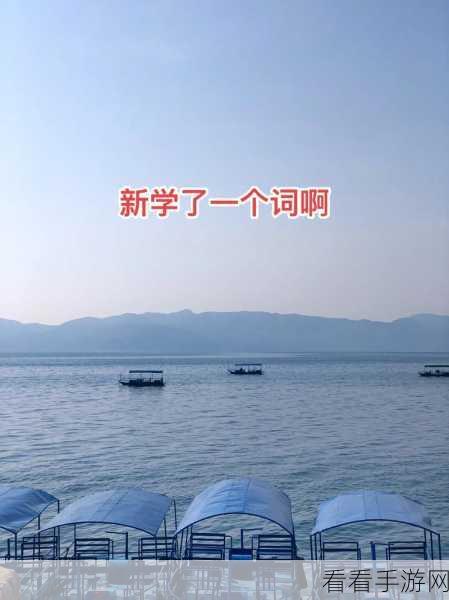搜索词:当然可以!请提供您想要拓展的搜索词,我将为您生成一个不少于12个字的新标题。