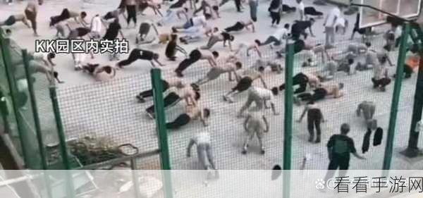 缅甸恐怖网址www免费：深入探讨缅甸恐怖活动的背景与现状，网址分享解析