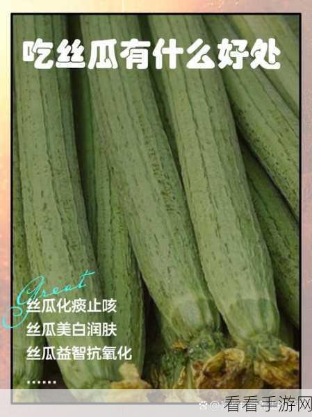 丝瓜破解18岁：丝瓜破解18岁，揭示青春背后的秘密与成长故事