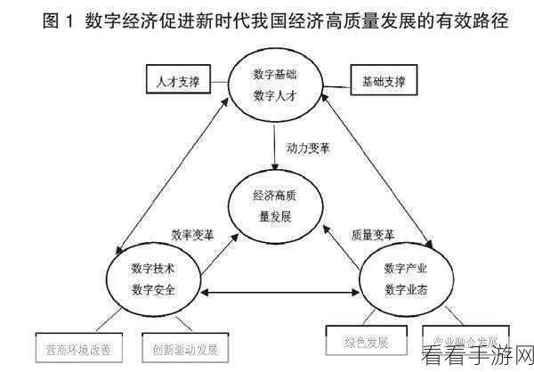 年经继拇3的机能量发展：探索年轻化数字经济的创新与可持续发展之路