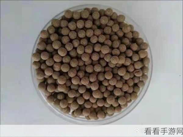 深度开发梁医生不可以(限)蜜丸：深度开发梁医生：禁用蜜丸的原因与替代方案探讨
