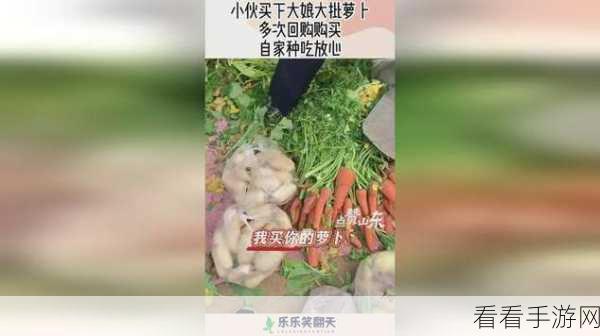 拨萝卜不盖被子视频：揭开冬季趣事：拓展拨萝卜不盖被子的搞笑视频