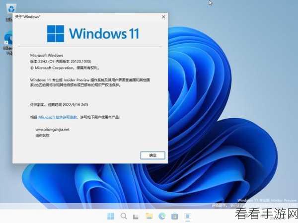 日本windowsserver免费版：探索日本Windows Server免费版的功能与应用潜力