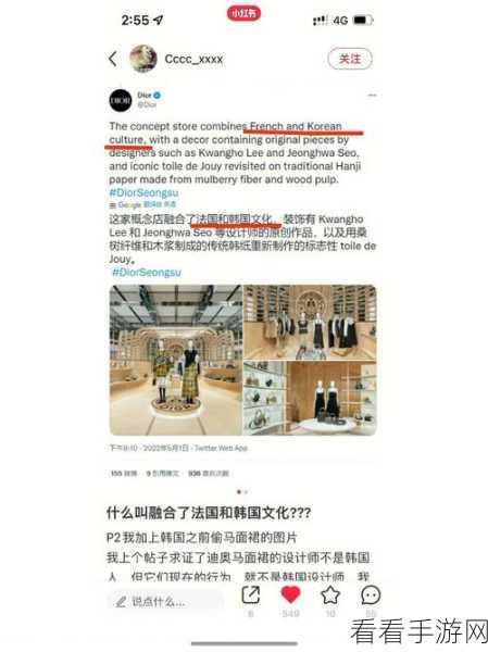 99国偷自偷产品：99国盗版产品现象及其对全球市场的影响分析