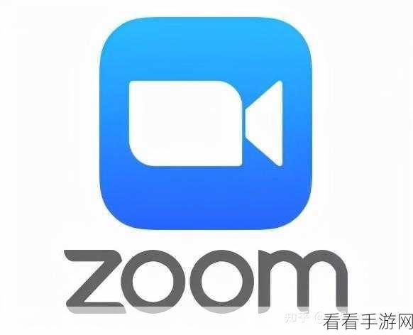 Zoom与牛性胶：创新科技与传统工艺的结合：Zoom平台与牛性胶的完美联袂