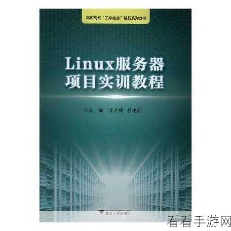 掌握关键！Linux 应用服务器的完美维护秘籍