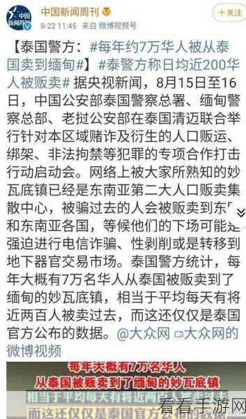 缅甸北部恐怖血腥网站www软：缅甸北部恐怖事件真相揭秘：血腥暴力背后的故事