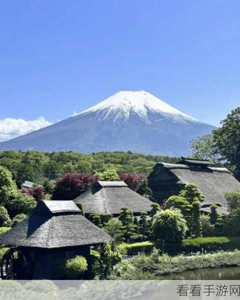 日本69视频：探索日本文化：69种独特视频带你领略不一样的风景